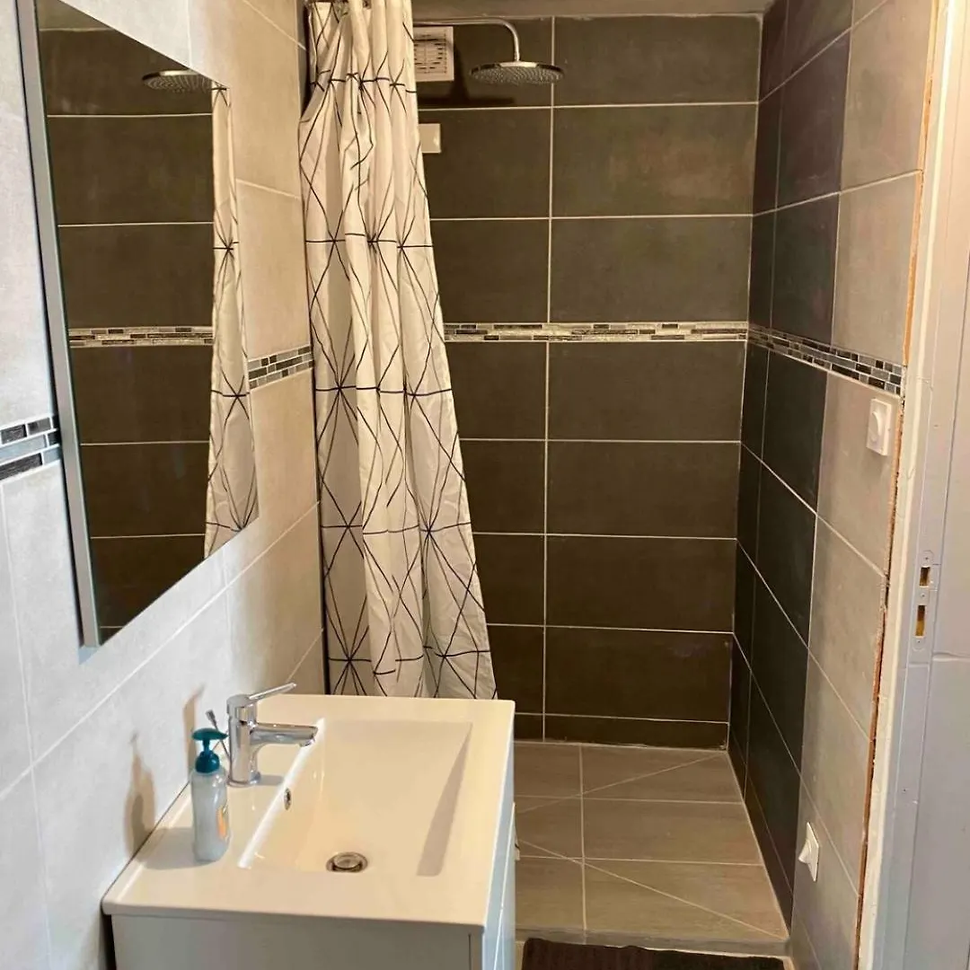 Studio Centre Ville Vichy Apartment